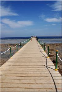 jetty by Andy Kutsch 